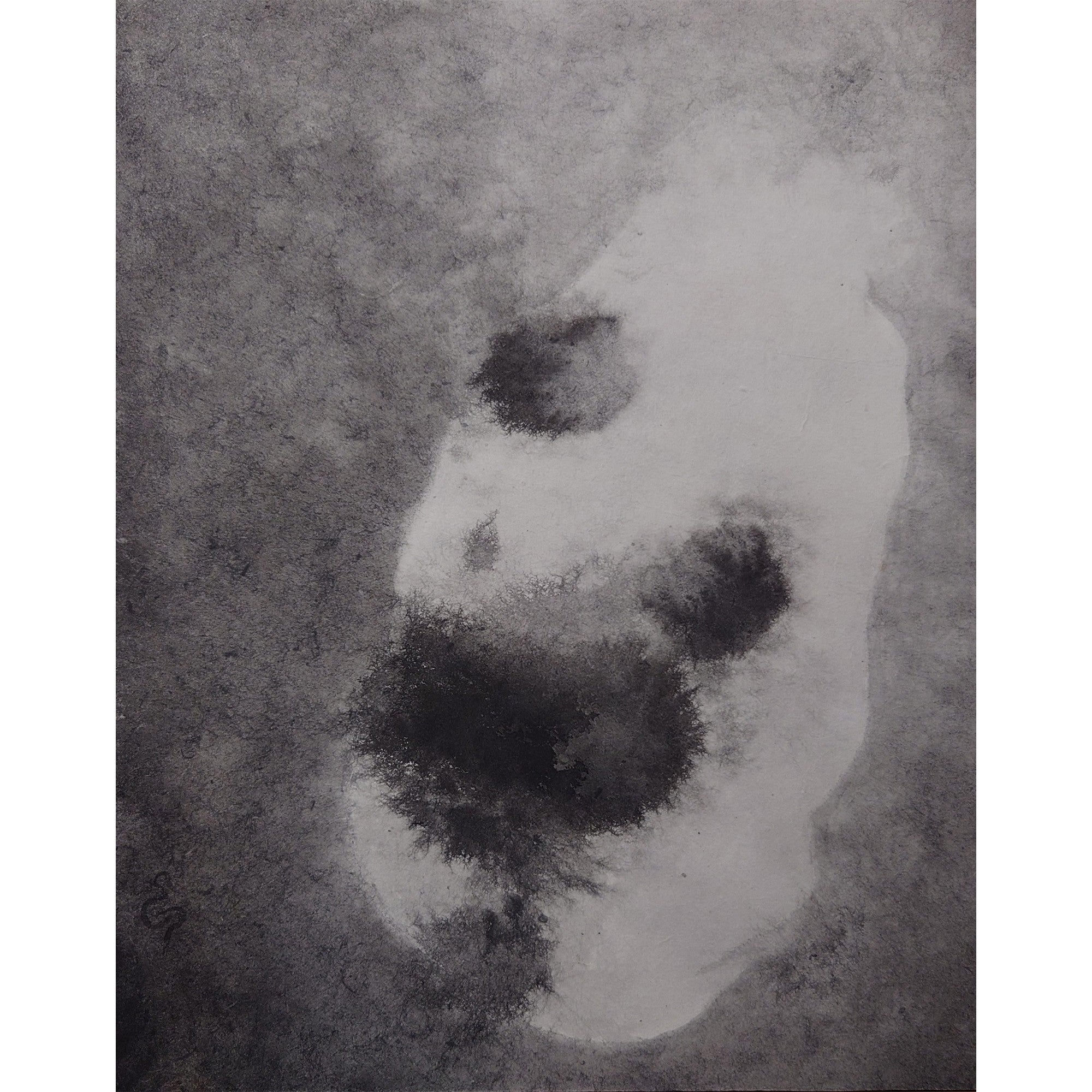 水墨画】三毛の宇宙（関根 蕪） | Gallery NOOOG